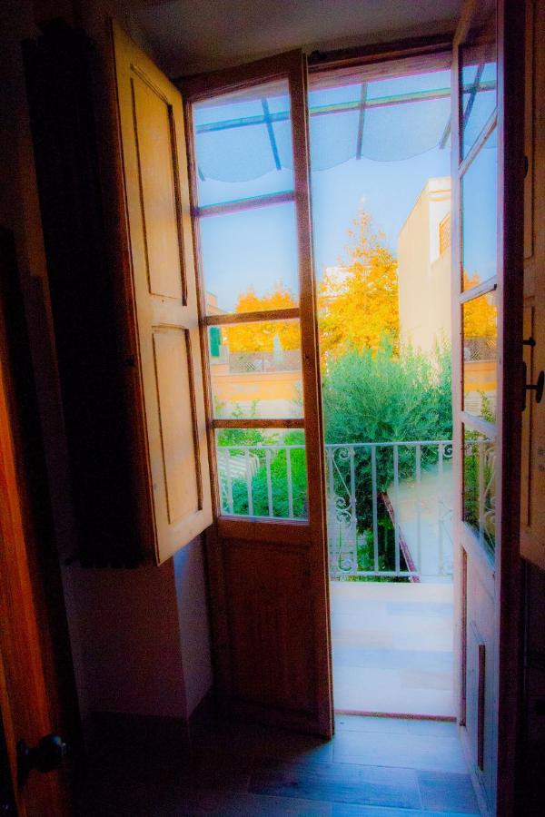 "Sea & Center" Free Beach, Wifi, Mini Pool, Roof Terrace, Ladispoli, Rome Exterior foto